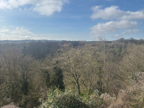 Reynolds Retreat-Borough Green必去景点