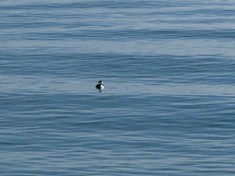 People Travel Kyrgyzstan-比斯凯克必去景点