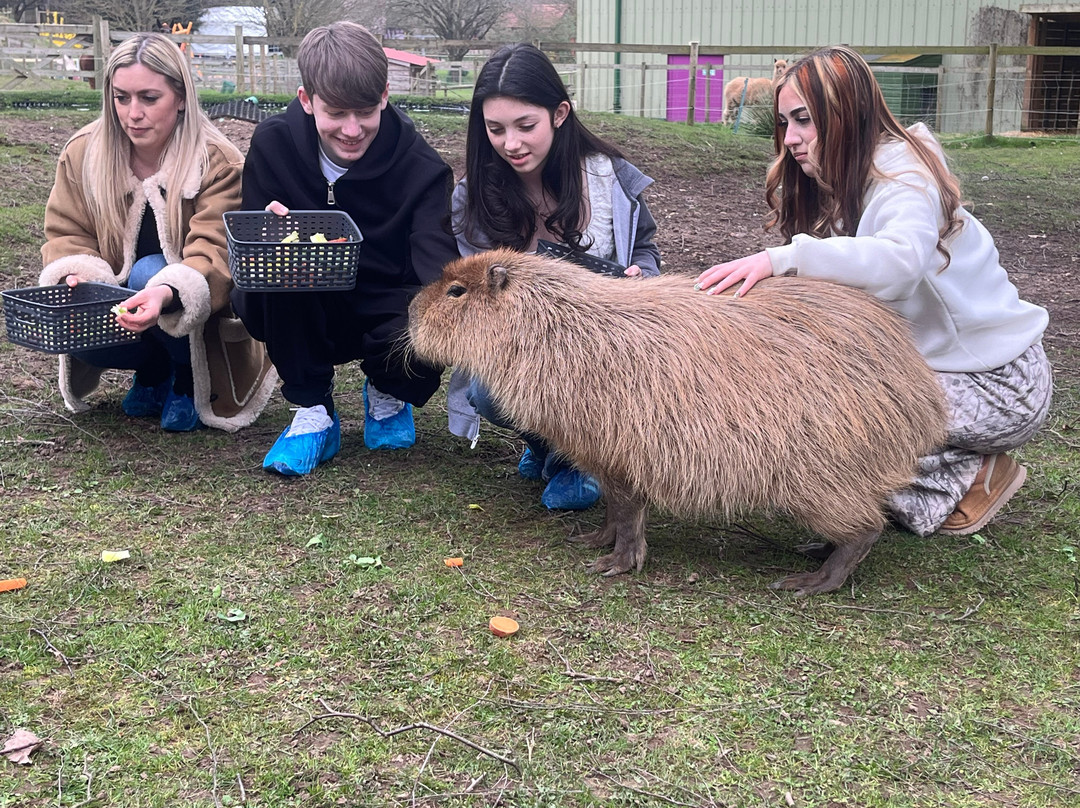 Robin Hoods Wheelgate Park-Farnsfield必去景点