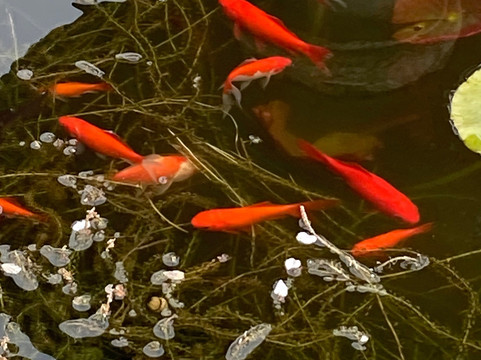 The Walton Hall Spa & Leisure Club-Wellesbourne必去景点