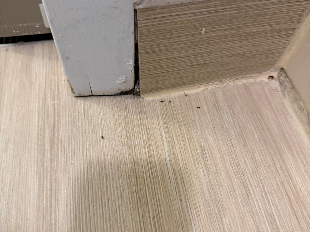 布兰奇堡/布里奇沃特凯悦嘉寓酒店主图