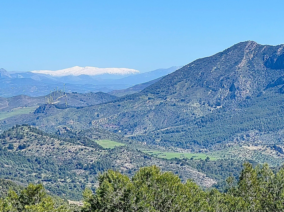 Andalucian Cycling Experience Day Trips-隆达必去景点
