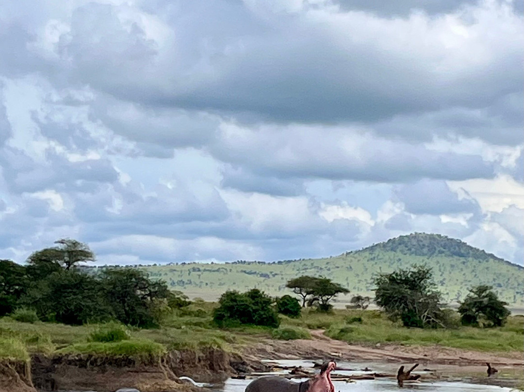BADGER ADVENTURES TOURS & SAFARI-Arusha Chini必去景点