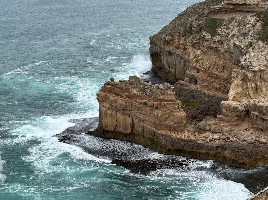 Clifftop Drive Sculpture-Elliston必去景点