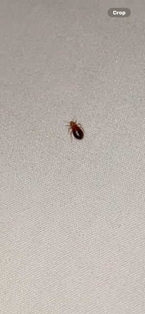 智选假日套房酒店东罗马主图