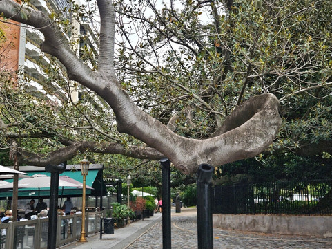 Buenos Aires Free Walks-布宜诺斯艾利斯必去景点