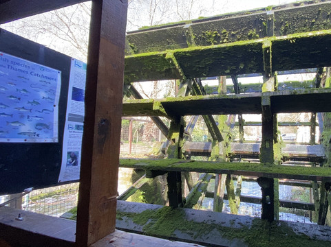 Merton Abbey Mills-伦敦必去景点