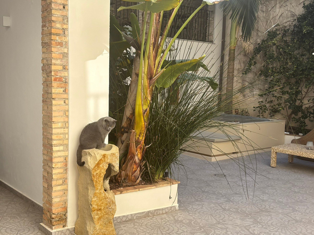 Casa Rabat主图