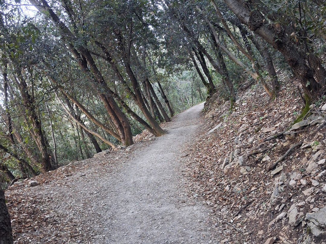 Sentiero panoramico Busatte Tempesta-托尔博莱必去景点