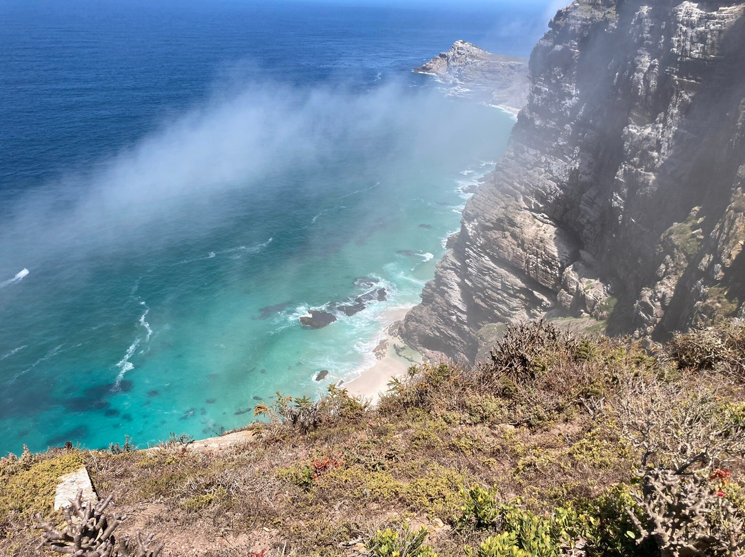 Cape Point-桌山国家公园必去景点
