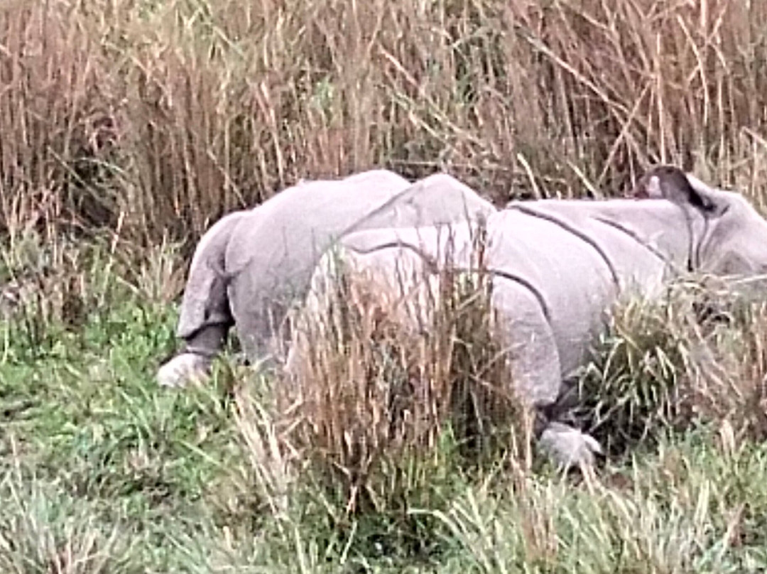 Passoin India Tours-新德里必去景点