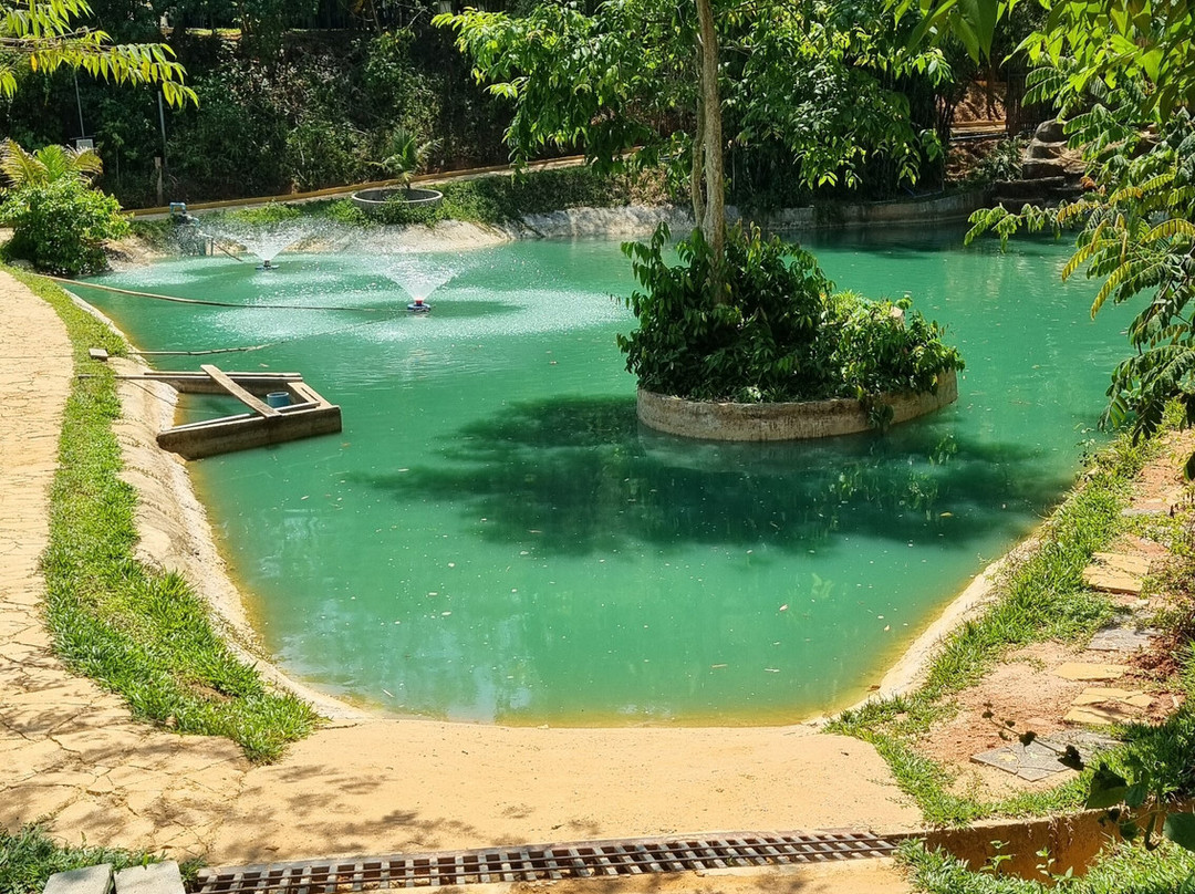 Phuket Elephant Care-奈通必去景点