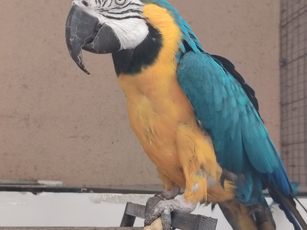 Parque Zoologico La Era las Aves-瓦拉多利德省必去景点