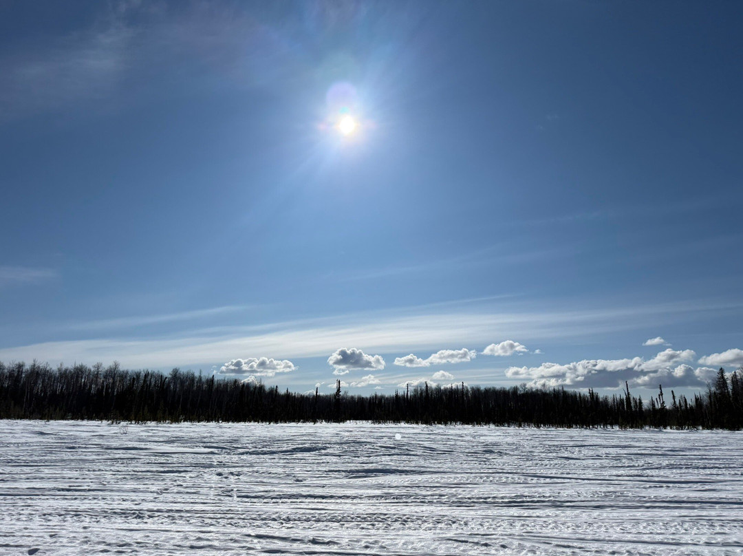 Snowhook Adventure Guides of Alaska-Willow必去景点