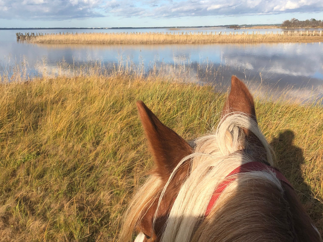 Equi Aventure-Sanguinet必去景点