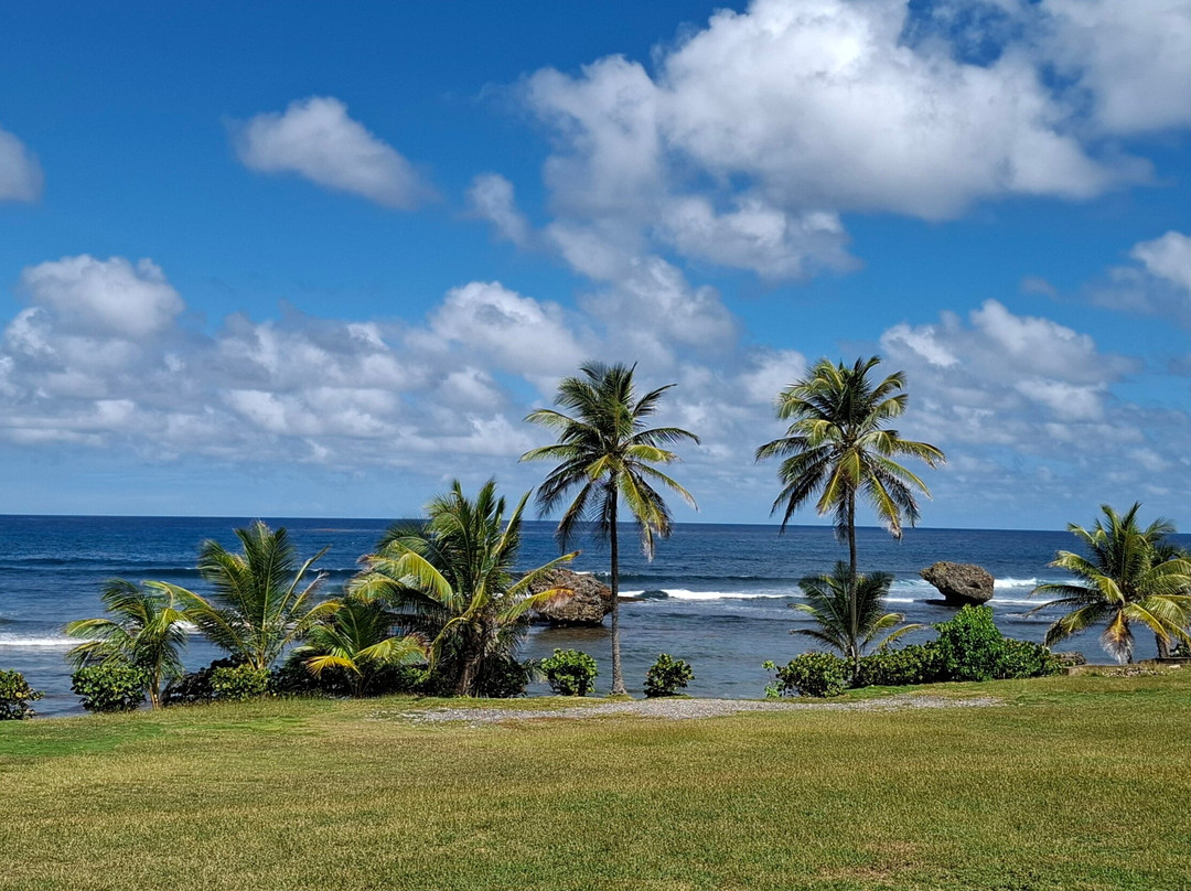 Bathsheba Park-Bathsheba必去景点