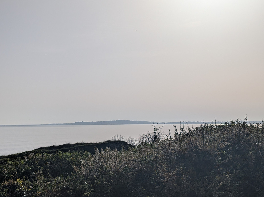 司马格乐旅馆主图