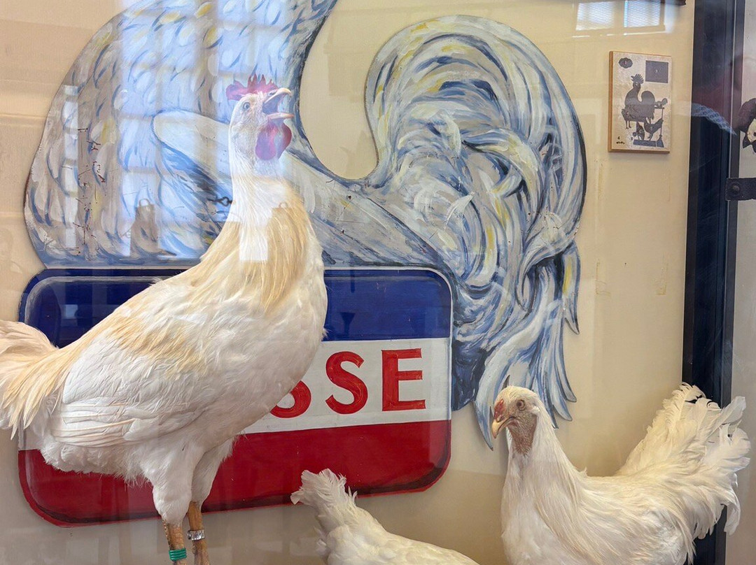 Ecomusee de la Bresse Bourguignonne-Pierre-de-Bresse必去景点