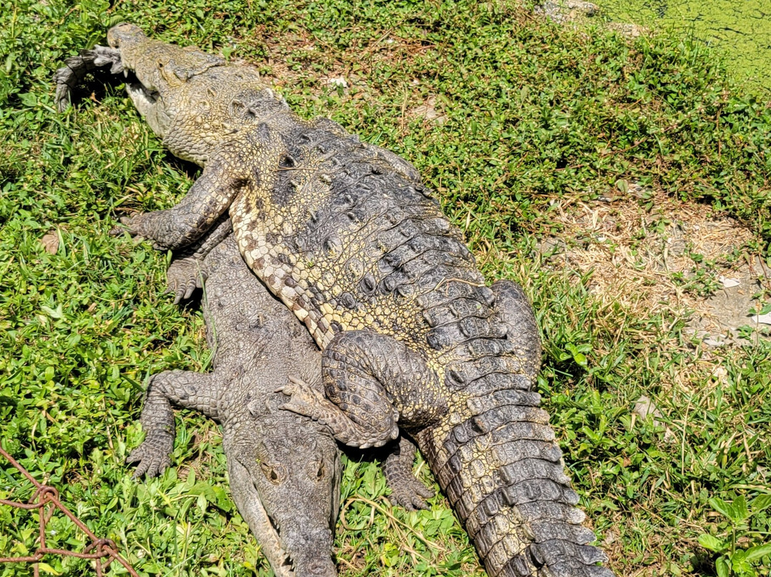 Vivarium del Caribe-卡塔赫纳必去景点