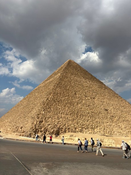 宁静阿尔法海滩酒店-官方