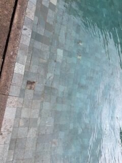 赛达拉精品海滩度假村-泳池