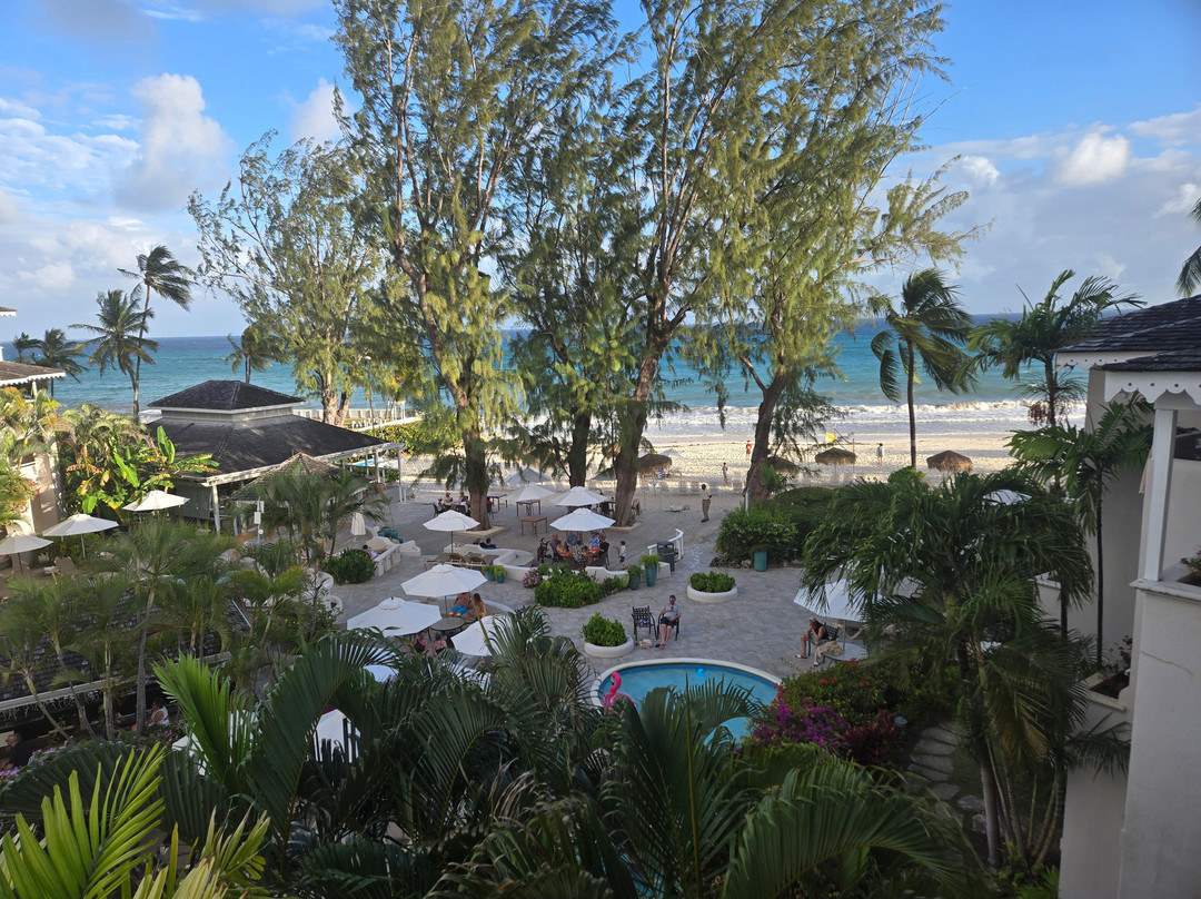 巴巴多斯三角梅酒店主图