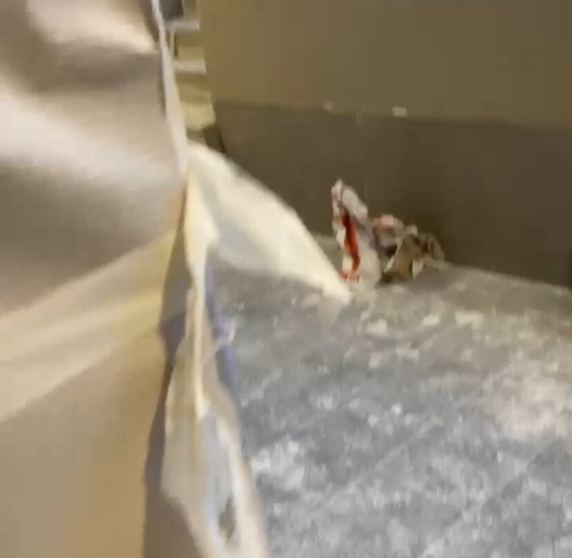 蒂恩波酒店主图