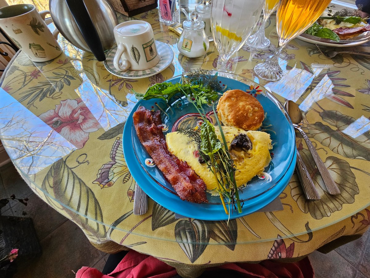 Songbird Prairie Bed & Breakfast-旅行者