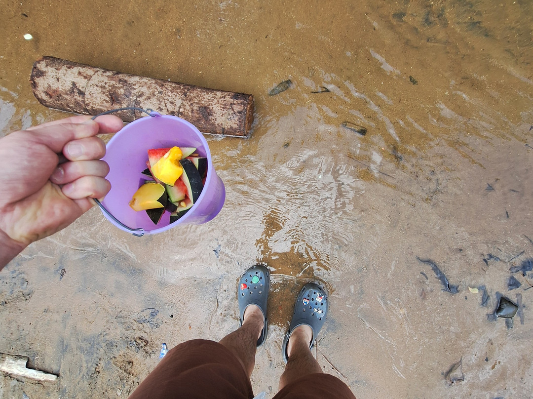 Elephant Freedom Project-凯格勒 必去景点