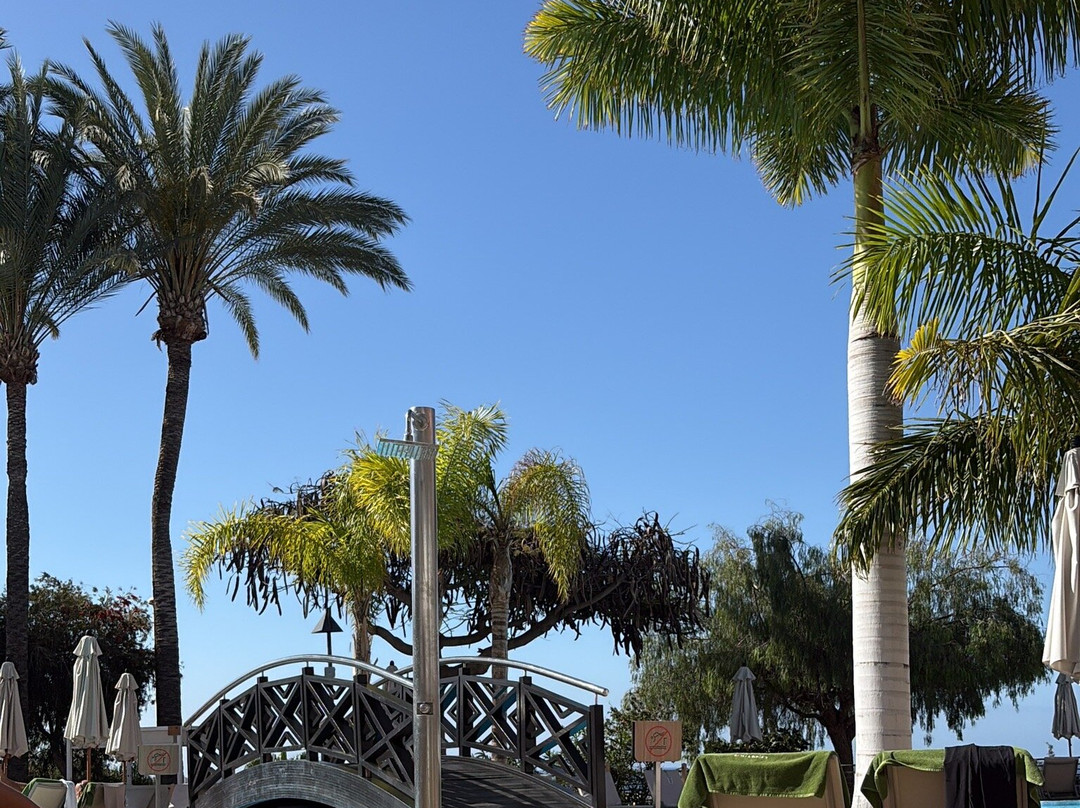 特内里费泰德公园美利亚酒店主图