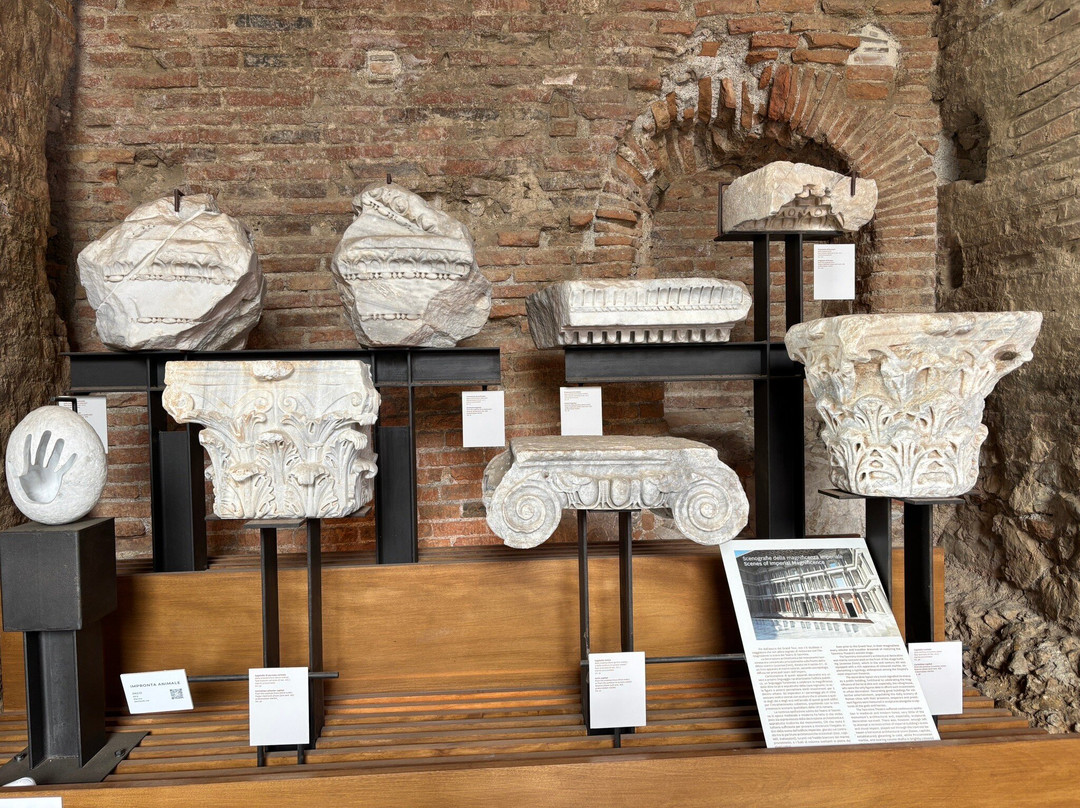 Etna Tribe-卡塔尼亚必去景点