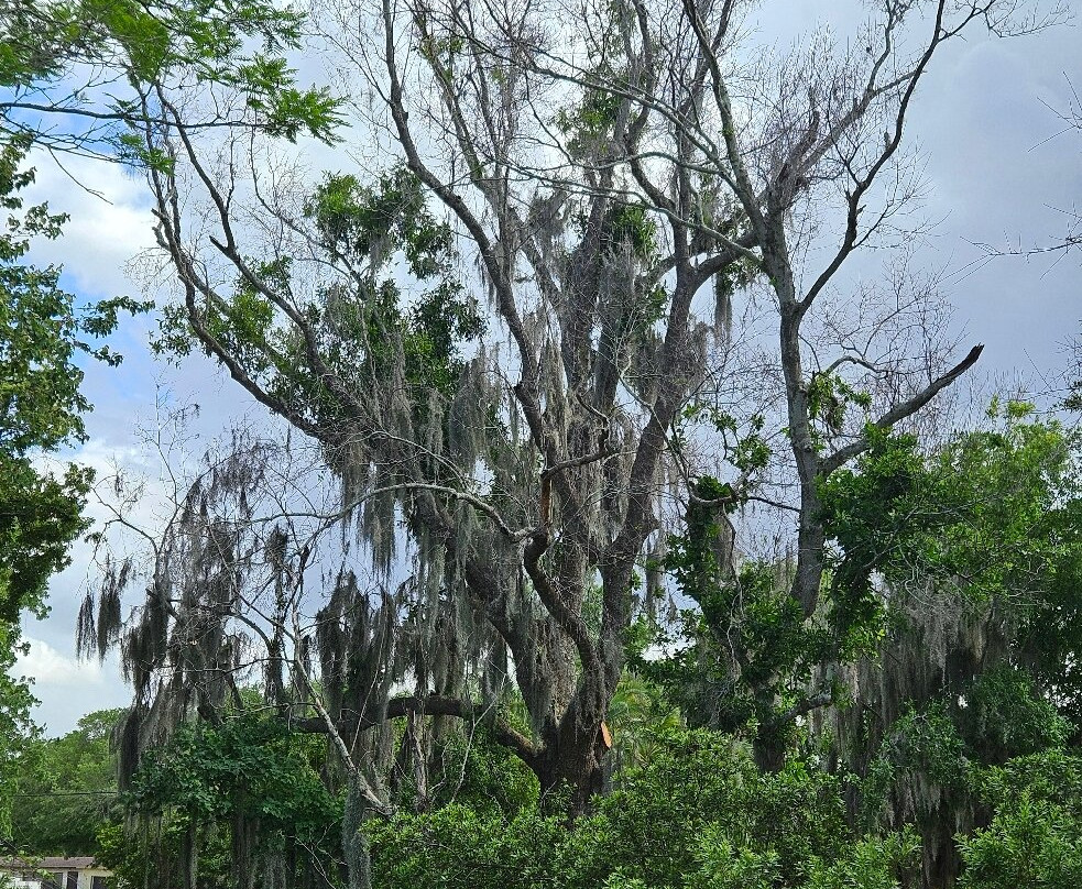 South Lake Howard Nature Park-温特黑文必去景点