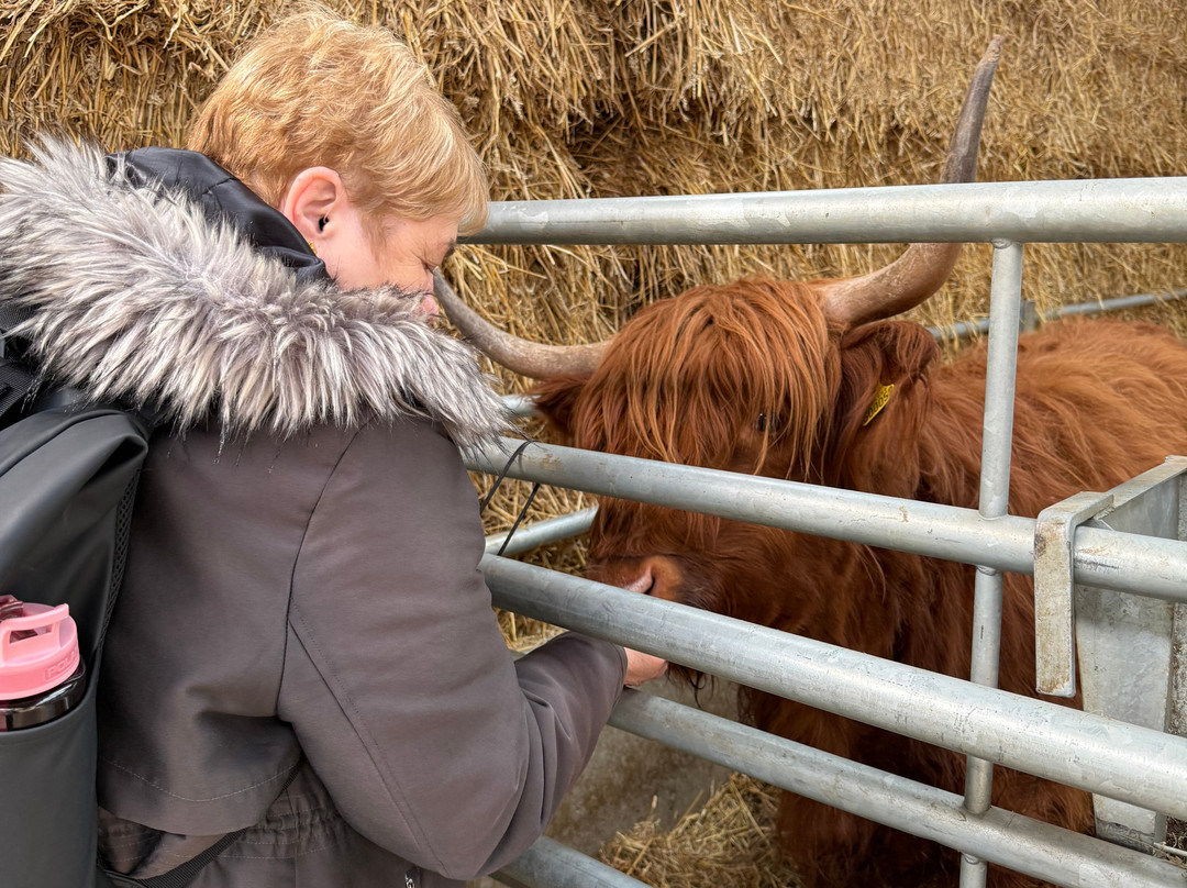 Monk Park Farm-Bagby必去景点
