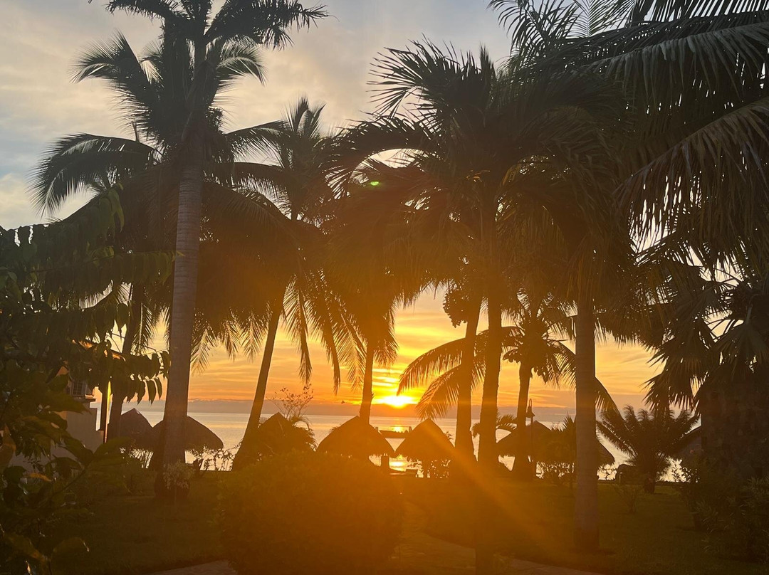 棕榈海滩水疗度假村主图