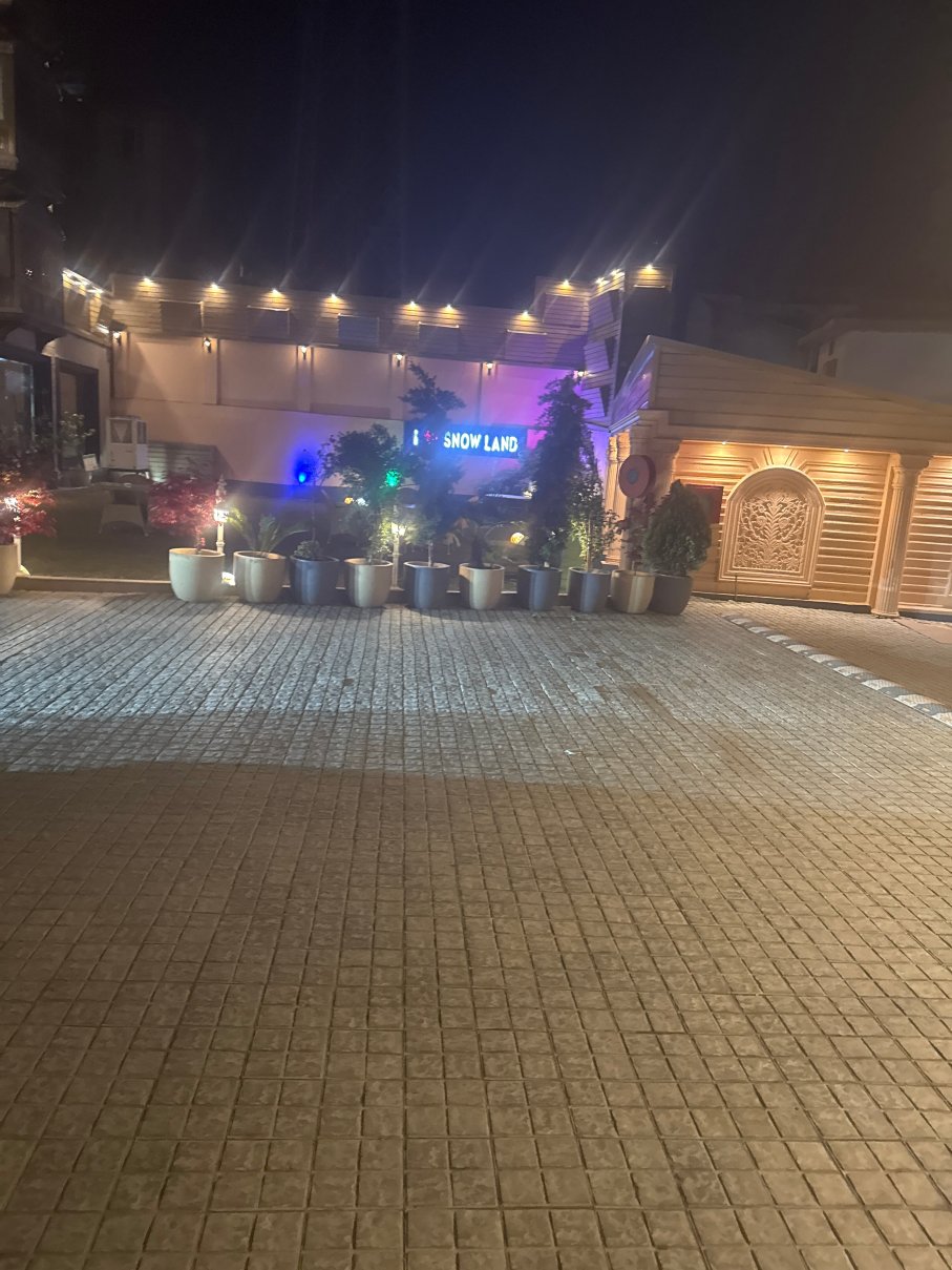 斯里纳格雪地酒店-旅行者