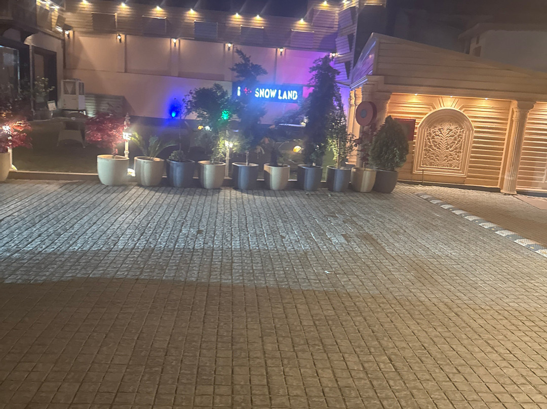 斯里纳格雪地酒店主图