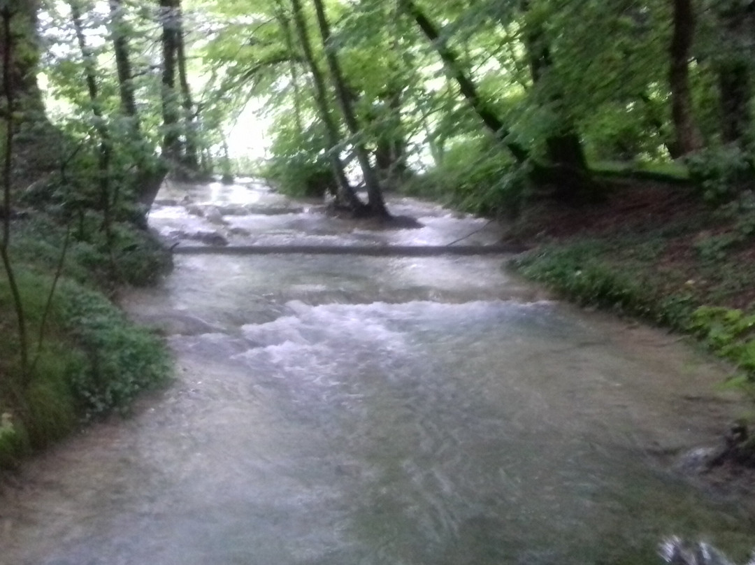 普利特维策湖-Plitvicki Ljeskovac必去景点