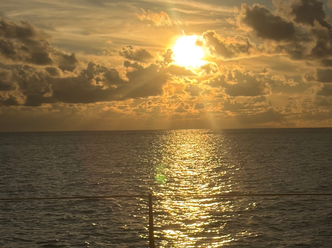 Croisieres & Decouvertes - Le Grand Bleu-圣吉尔莱班必去景点