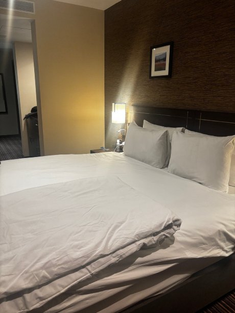 Crowne Plaza 伦敦 - 盖特威克机场-旅行者