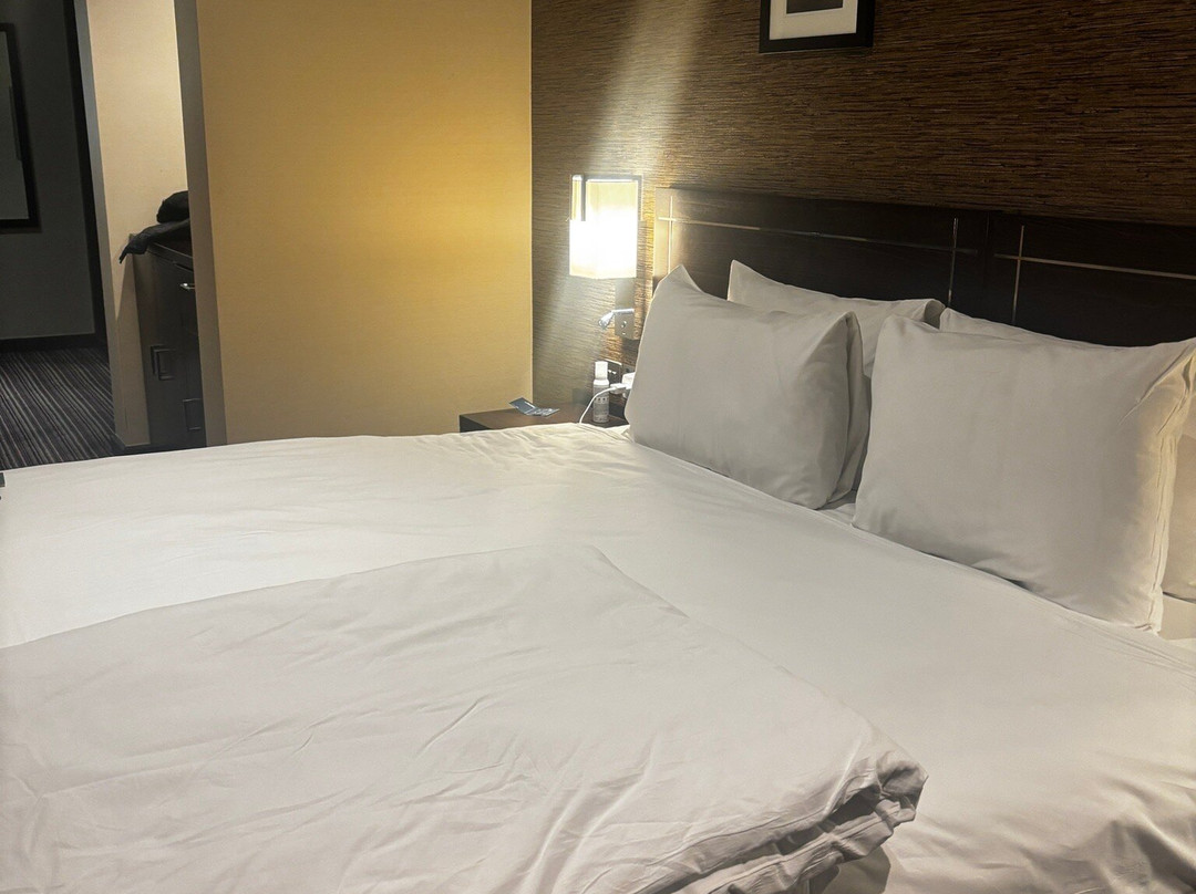 Crowne Plaza 伦敦 - 盖特威克机场主图