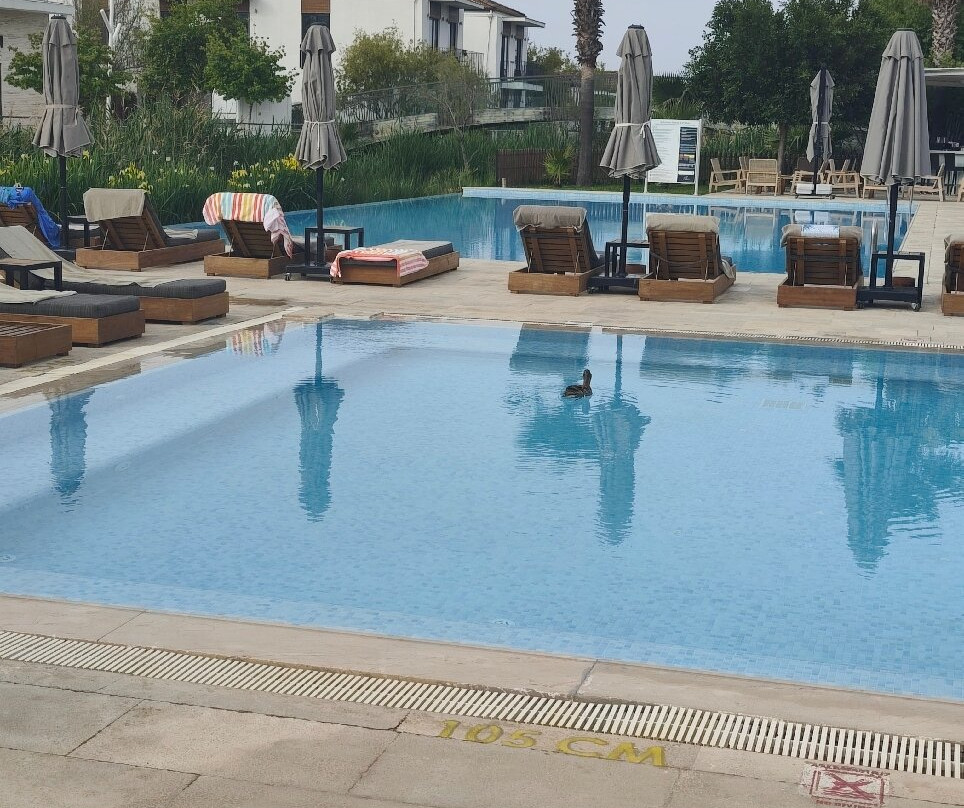 吉瓦海滩度假村-全包主图