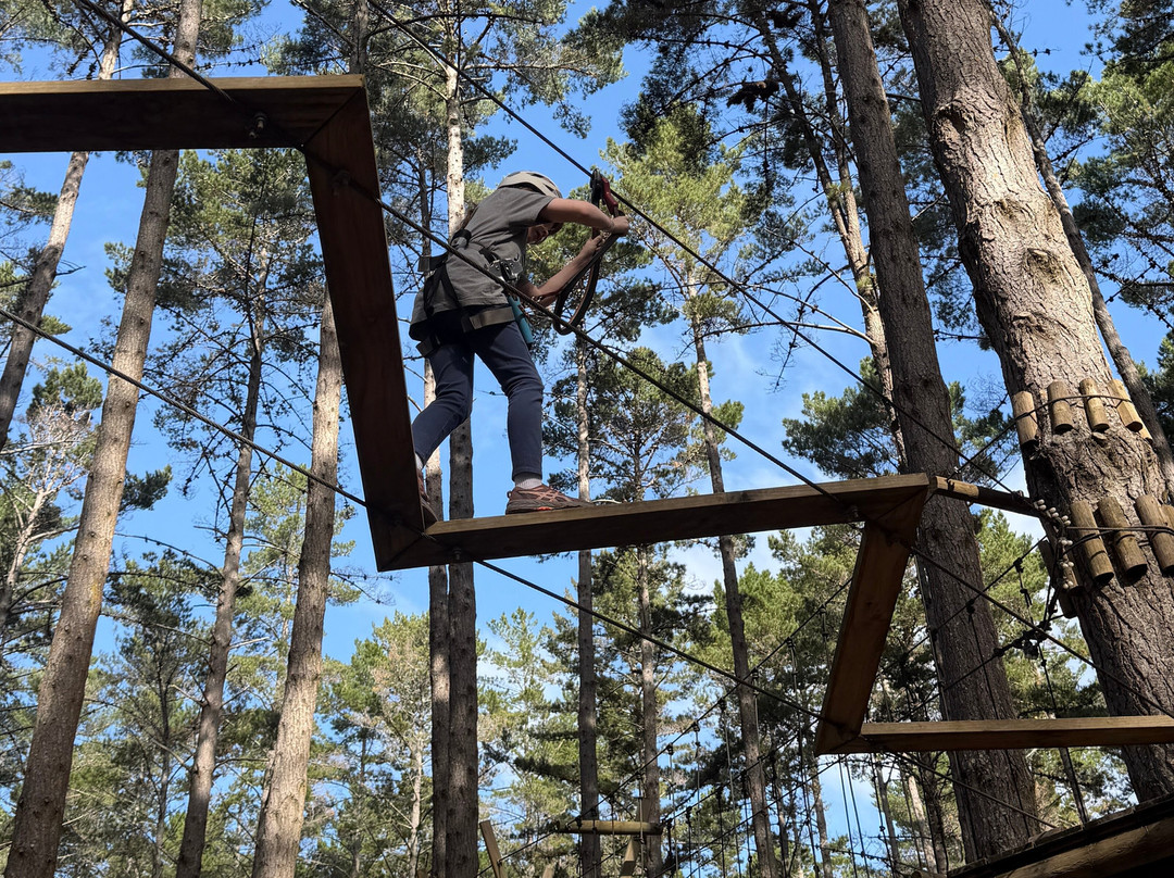 Tree Adventures-伍德山必去景点