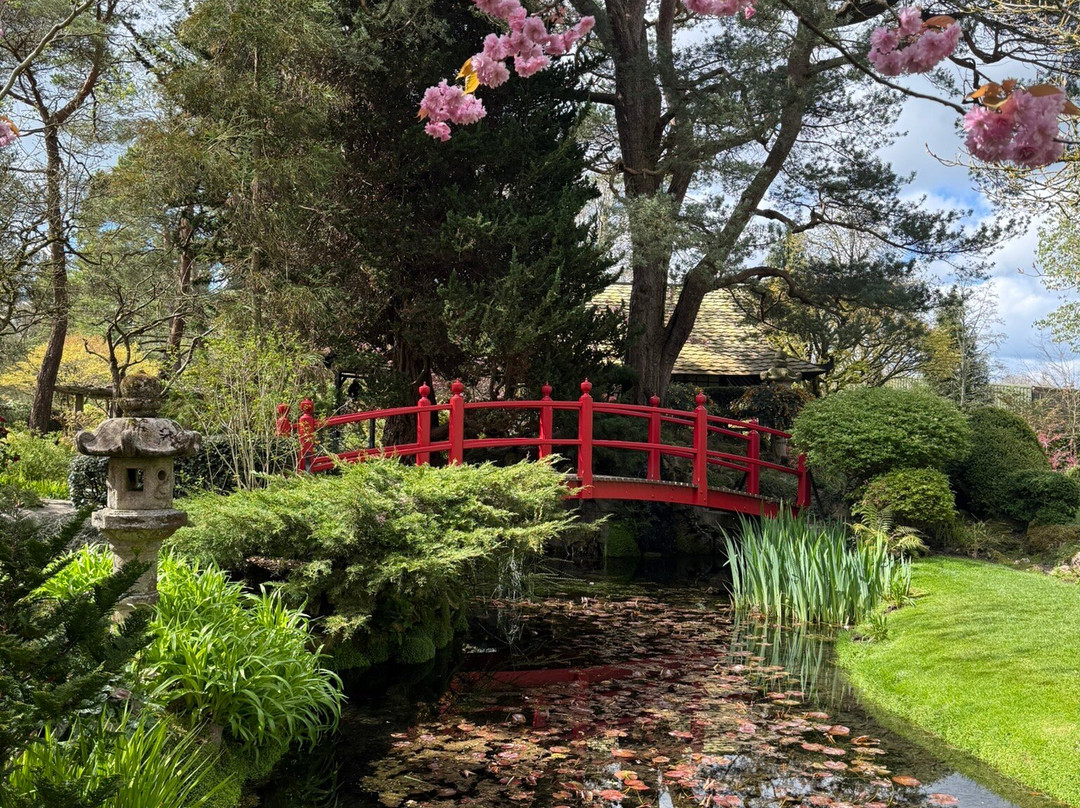 Irish National Stud & Gardens-Tully必去景点