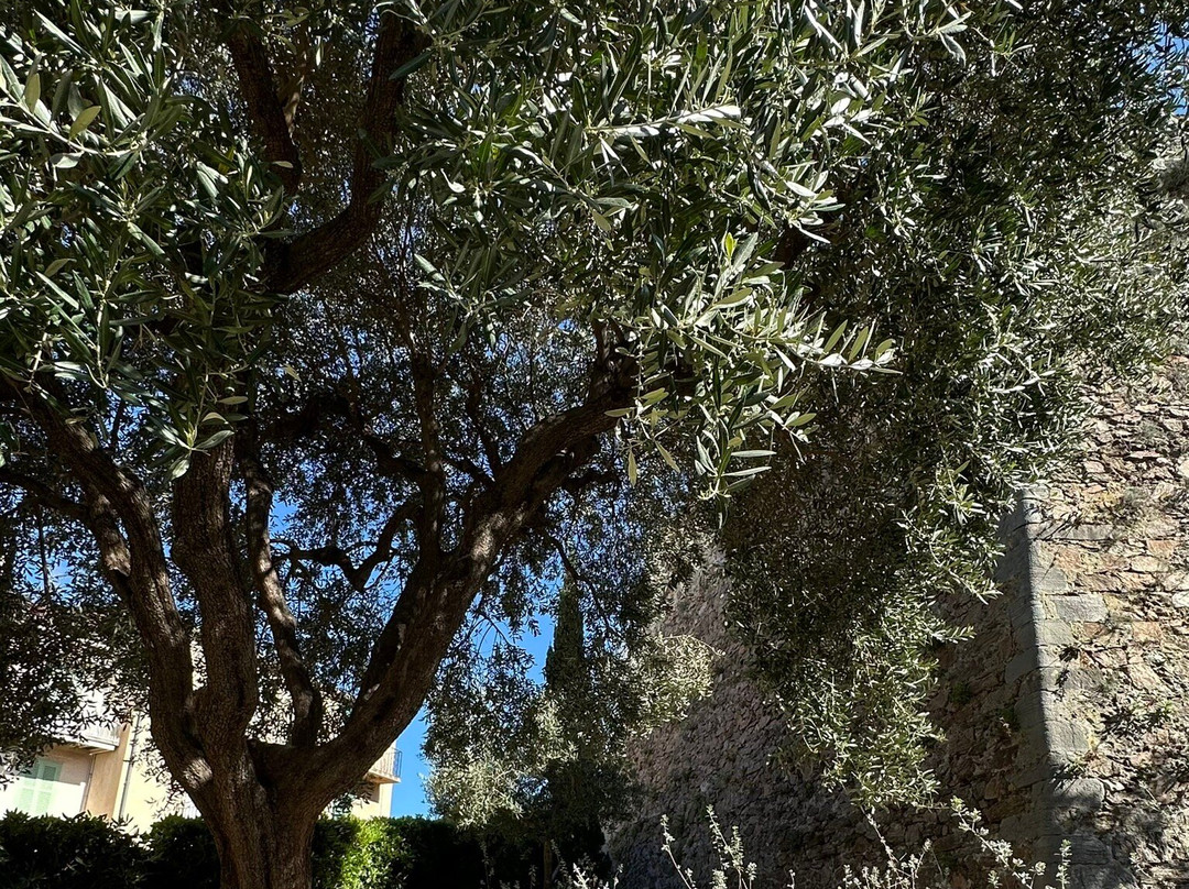 圣母堂-戛纳必去景点