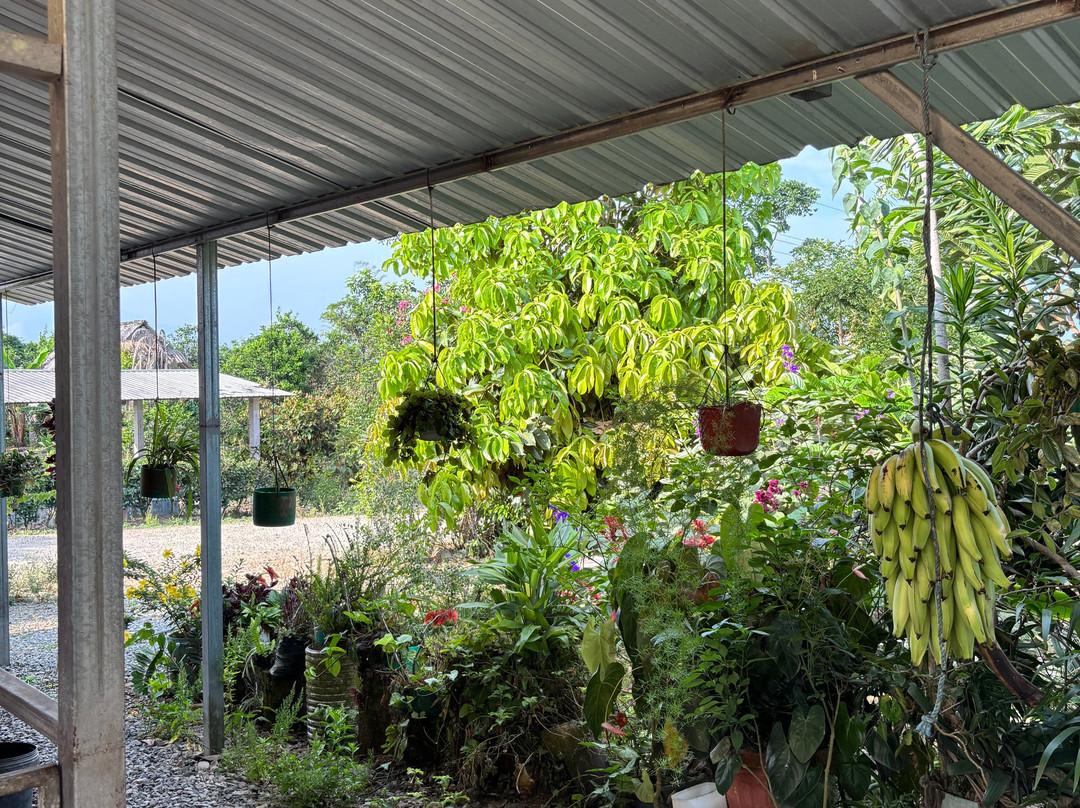 Finca Sanmartin-Pasaje必去景点