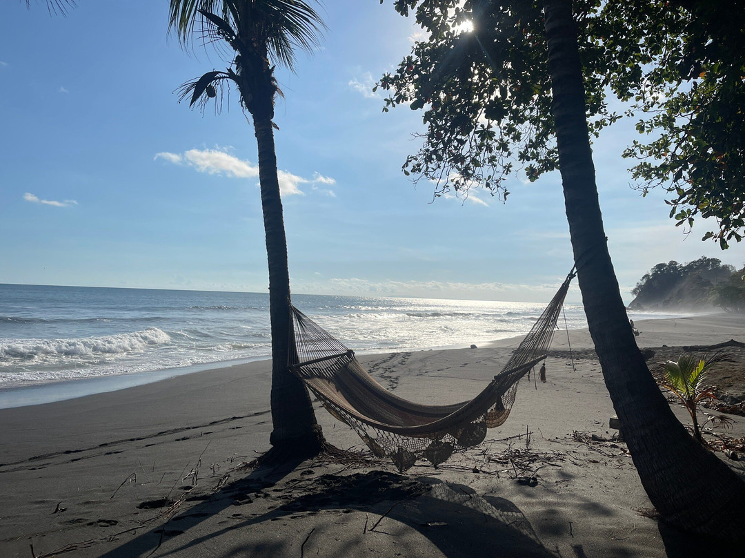 富果德尔索尔海滨酒店主图