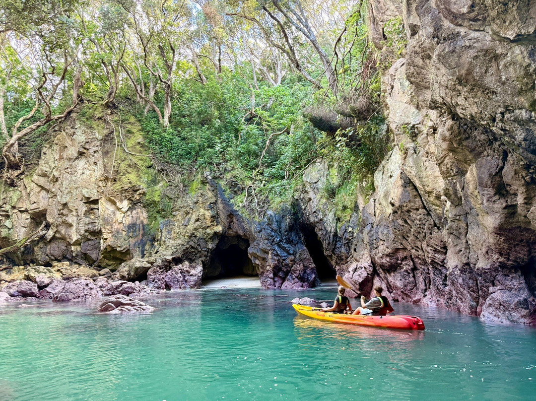 Pedal and Paddle-瓦卡马塔必去景点