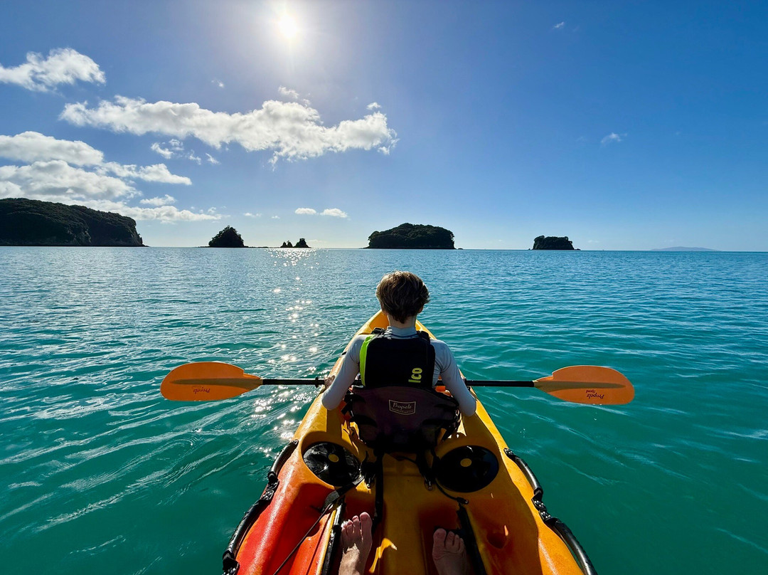 Pedal and Paddle-瓦卡马塔必去景点