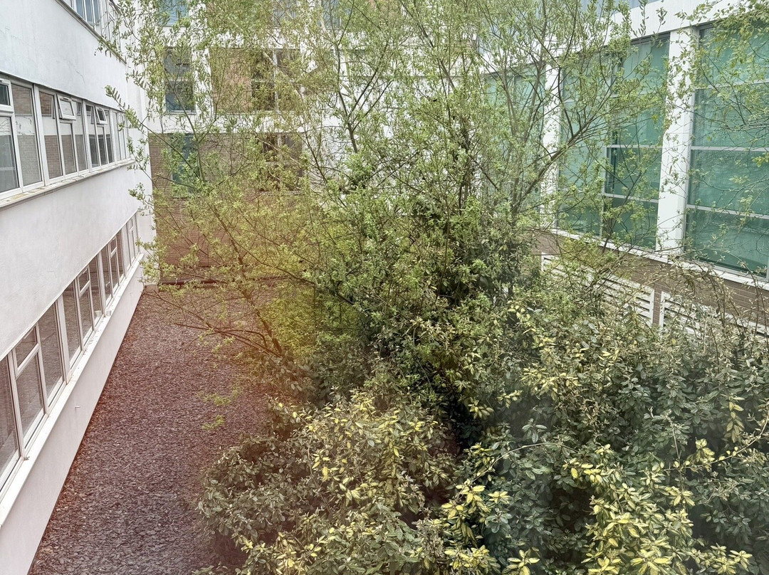 Holiday Inn 伯明翰机场主图