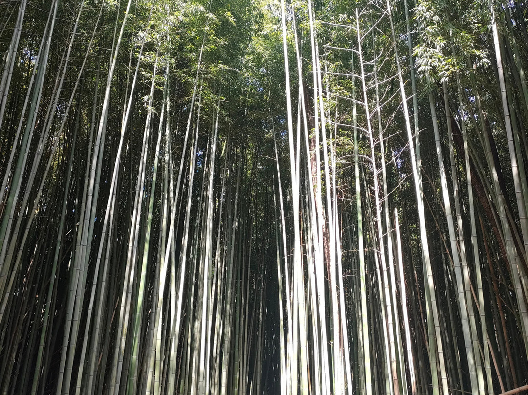 Parco di Villa Chiozza-Cervignano del Friuli必去景点